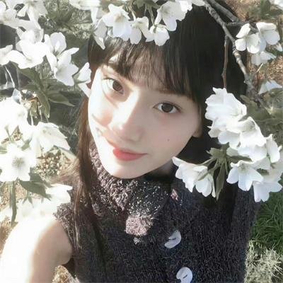 重返·狼群